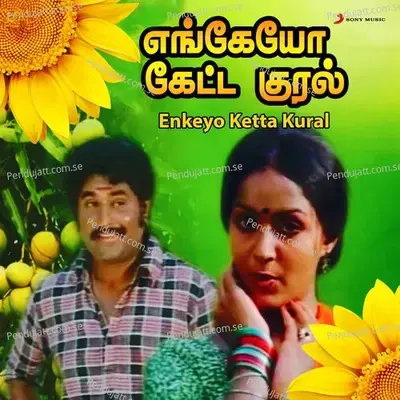 Pattu Vanna Selaikaari - Ilaiyaraaja album cover 