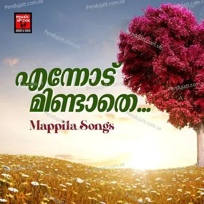 Punnara Poove - KS Rehna album cover 