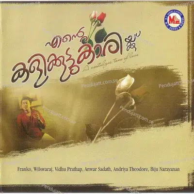 Azhake Aaraanu - Anwar Sadath album cover 