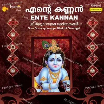 Narayana Hari Pithambara Hari - Rajesh Thirkaripoor album cover 