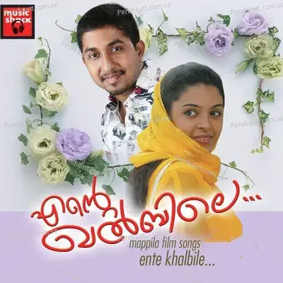 Bhooloka Nadhan - Krishna Prasad album cover 