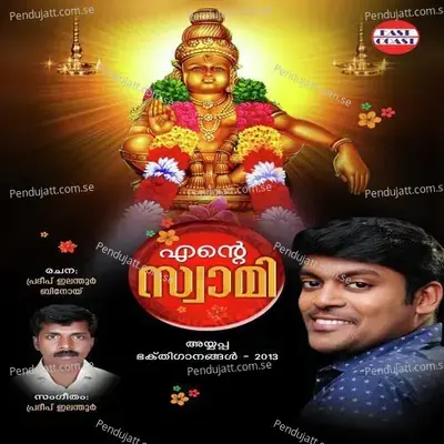 Pamba Vilakkinte - Ajith G. Krishnan album cover 