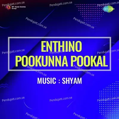 Vinnil Ninnum - Vani Jayaram album cover 