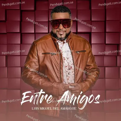 Te Olvide - Luis Miguel del Amargue album cover 