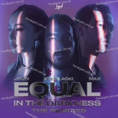 Equal In The Darkness  The Remixes  - Steve Aoki cover album