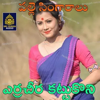 Erra Cheera Kattukoni - Anil Kumar album cover 