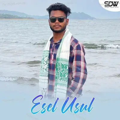 Esel Usul - Raju Soren album cover 