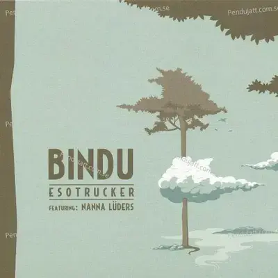 Esotrucker - Bindu cover album