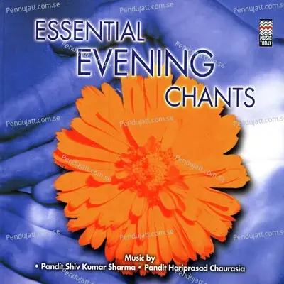 Shri Gayatri Hridayam - Pandit Shivkumar Sharma album cover 