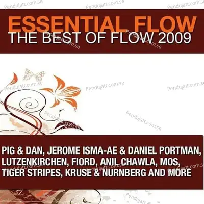 Essential Flow  The Best Of Flow 2009 - Various Artists cover album