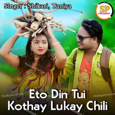 Eto Din Tui Kothay Lukay Chili - ShIkaRi album cover 