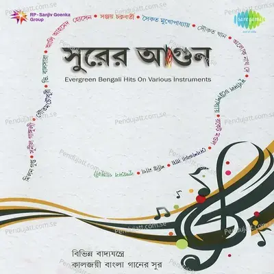 Ja Re Jare Ure Jare Pakhi - Saikat Mukherjee album cover 