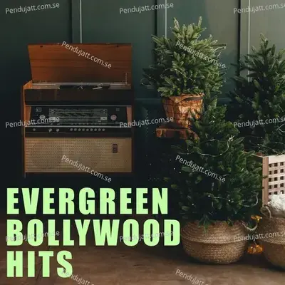 Evergreen Bollywood Hits - Various Artists