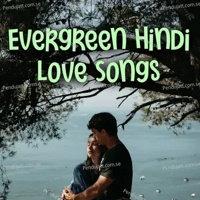 Evergreen Hindi Love Songs - Various Artists cover album