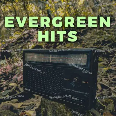 Evergreen Hits - Various Artists