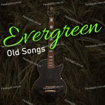 Evergreen Old Songs - Various Artists