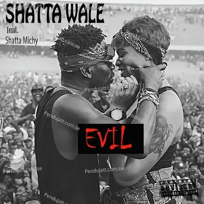 Evil - Shatta Wale album cover 