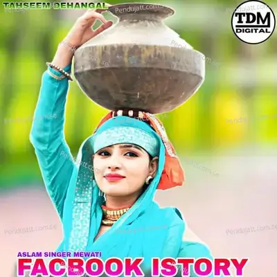 Facbook Istory - Tahseem Dehangal album cover 