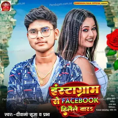 Facebook Se Instagram Hilaile Baru - Deewana Raja album cover 