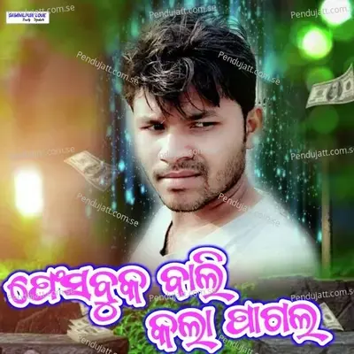 Facebook Wali Kala Pagal - Chinta Suna album cover 
