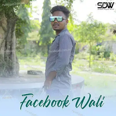 Facebook Wali - Biren Marandi album cover 