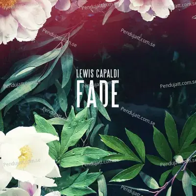 Fade - Lewis Capaldi