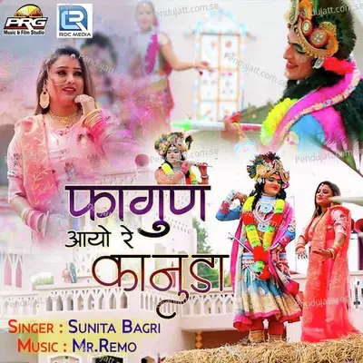 Fagan Aayo Re Kanuda - Sunita Bagri album cover 