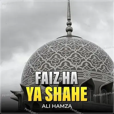 Faiz Ha Ya Shahe - Ali Hamza album cover 
