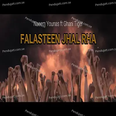 Falasteen Jhal Rha - Naeem Younas album cover 
