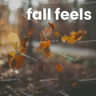 Fall Feels - Various Artists cover album