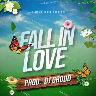 Fall In Love - Dj Grodd album cover 