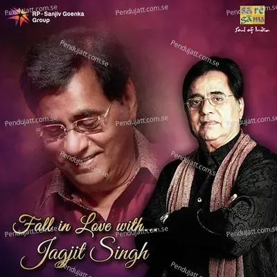 Din Guzar Gaya - Jagjit Singh album cover 