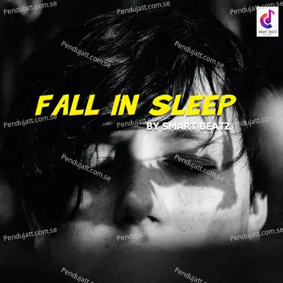 Fall In Sleep - Nikul Sabalpara album cover 