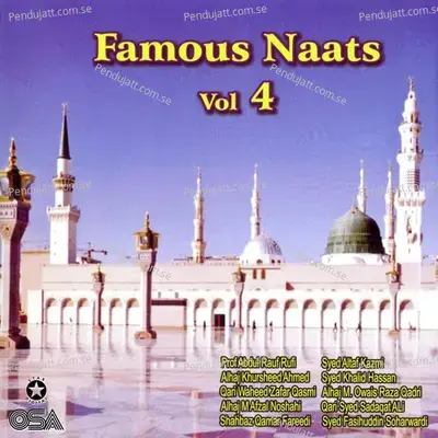 Madine Diyan Paak Galiyan - Alhajj Muhammad Owais Raza Qadri album cover 