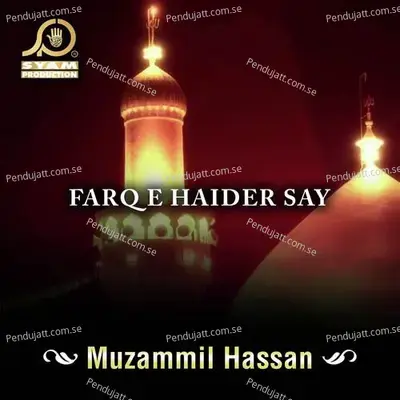 Farq E Haider Say - Muzammil Hassan album cover 