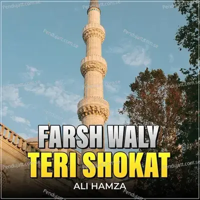 Farsh Waly Teri Shokat - Ali Hamza album cover 