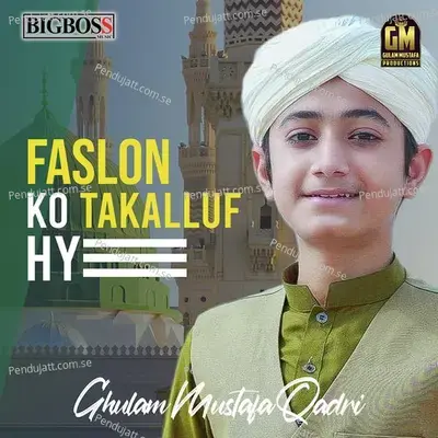Faslon Ko Takalluf Hy - Ghulam Mustafa Qadri album cover 