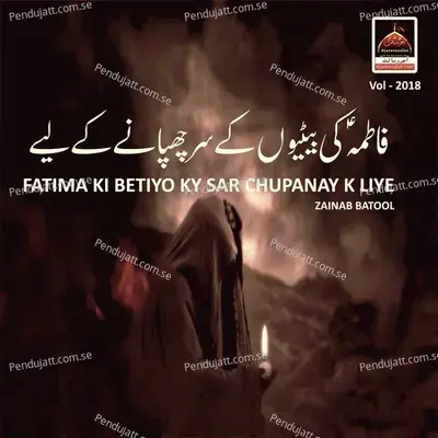 Phophyan Day Nal Behna Jadu Sughra Nu Seenay - Zainab Batool album cover 