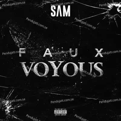 Faux Voyous - Sam album cover 