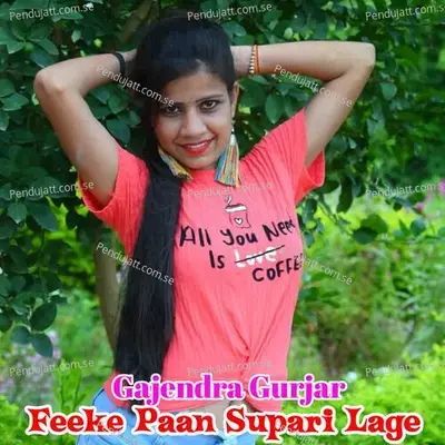 Feeke Paan Supari Lage - Gajendra Gurjar album cover 