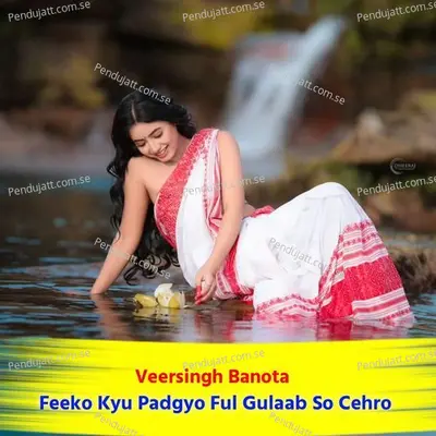Feeko Kyu Padgyo Ful Gulaab So Cehro - Veersingh Banota album cover 