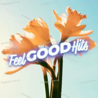 Feel Good Hits - Various Artists cover album