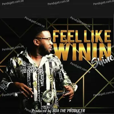 Feel Like Winin  039 - Shine album cover 