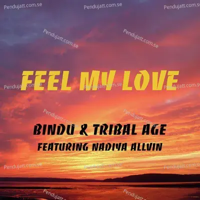 Feel My Love - Bindu album cover 