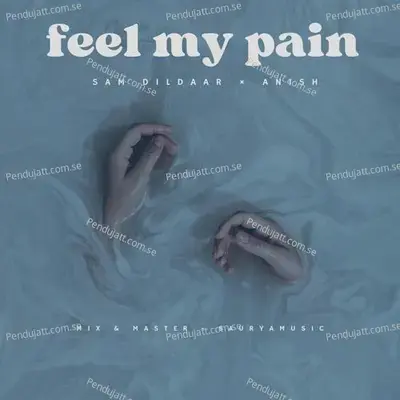 Feel My Pain - Sam Dildaar album cover 