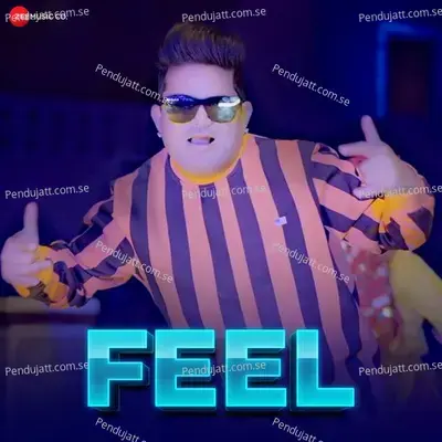 Feel - Raju Punjabi album cover 