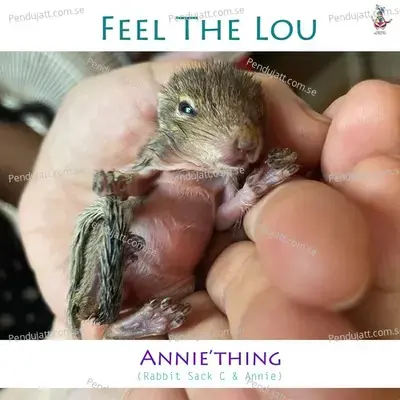 Feel The Lou - Anniething album cover 