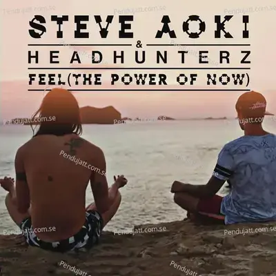 Feel - Steve Aoki album cover 