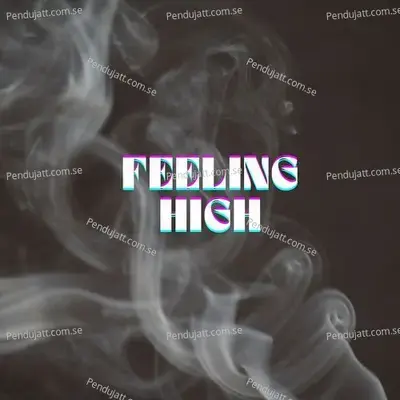 Feeling High - Rani Rangili album cover 