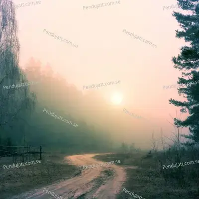Don   t Think I   ll Ever Feel This Way Again - Shiloh Dynasty album cover 
